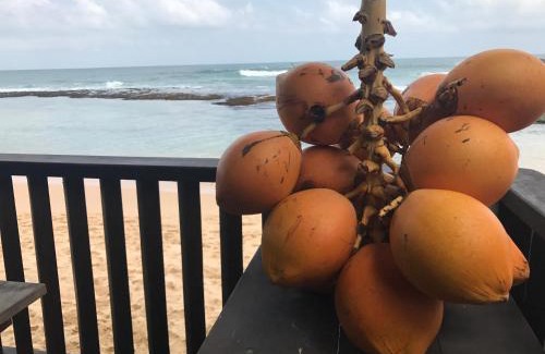 Fort Galle Casa | Orchard House Galle
