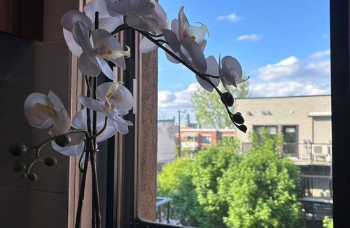 Plateau Mont Royal Apartamento | Orchid Lodgement Montreal