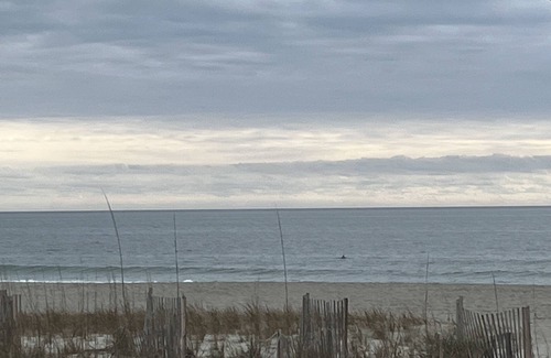 Holden Beach Cabaña | Original Cottage Beachfront cottage