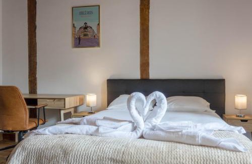 Bourgogne Apartamento | ORLEANS CENTRE HISTORIQUE - Charmant T2 - L'EVASION ORLEANAISE