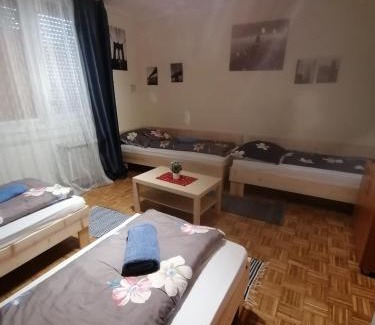 Kecskemet Apartamento | Orsi Szálláshelyek Kecskemét 2