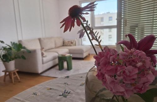 Rumia Apartamento | Ostoya