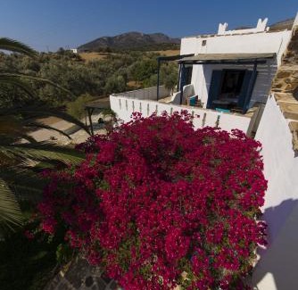 Moutsouna Hotel | Ostria Inn