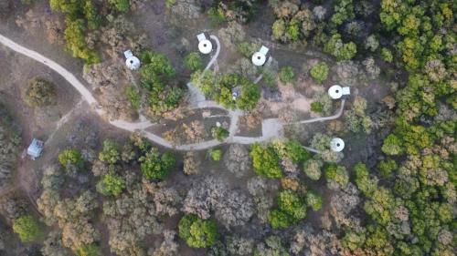 New Braunfels Casa | OT 3515H Texas Yurt Haus Horned Frog