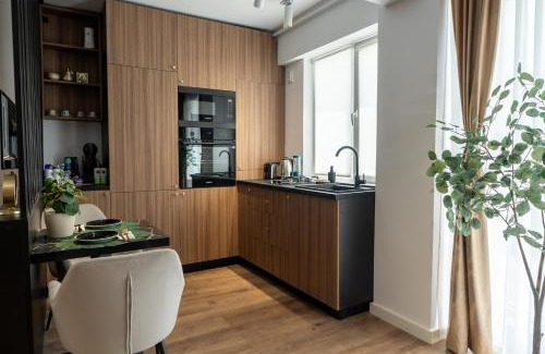 Otopeni Apartamento | Otopeni KaryKay Airport Residence