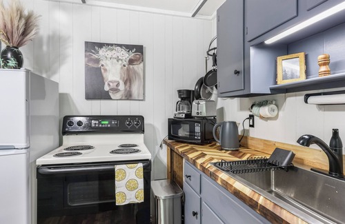 New Market Cabina | "Our Cute Cabin" - AC/heating, Sauna, cold plunge, High speed internet & firepit