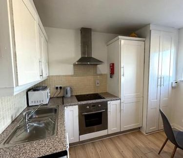 Waterford Apartamento | Overlooking city centre apt
