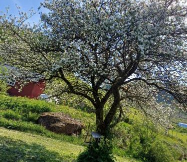 Sauda Apartamento | Overnating i Sauda