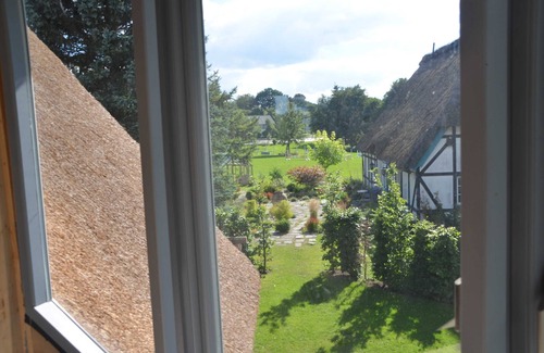 Grebin Apartamento | Owl Tower - paja