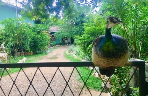 Udawalawa Casa | Owls Nest