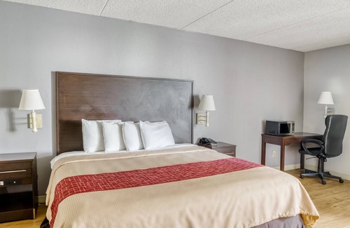 Burlington Hotel | OYO Hotel Burlington South