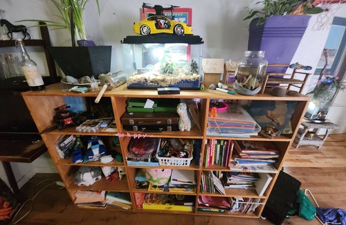Saratoga Beach Cabina | Oyster river way animal sanctuary and party rentals