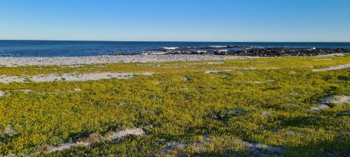 Shelley Point Casa | Oystercatcher Villa