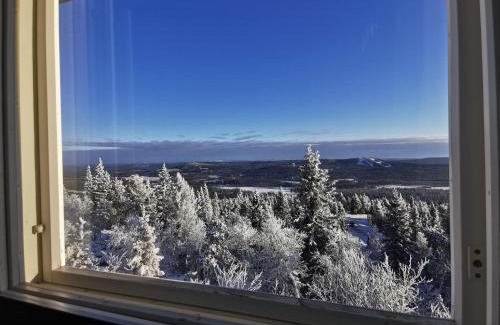 Syote Apartamento | Pöllönpesä Iso-Syöte