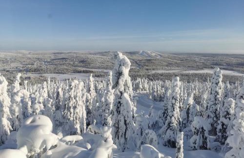 Syote Apartamento | Pöllönpesä Iso-Syöte