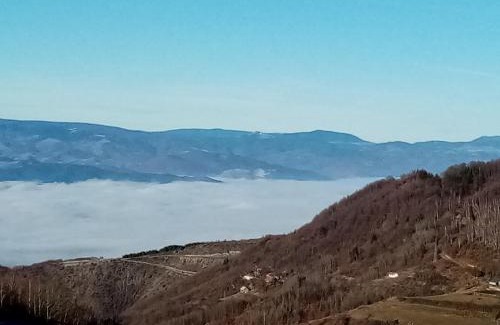 Lisina Apartamento | Pčelica L15 Milmari