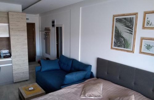 Lisina Apartamento | Pčelica L15 Milmari