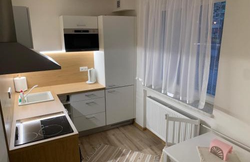Znojmo Apartamento | Přízemí v parku. (Apartment no.8)