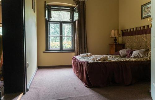 Szamotuy Casa | Pałac Baborówko