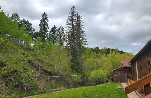 Deadwood Casa | PA's HOUSE; COMFY; PETS; DEADWOOD, MICHELSON TRAIL. UTV & EBIKE RENTAL; HWY 385