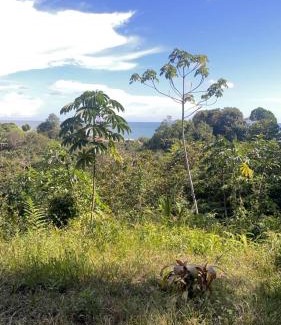 Uramba National Park Casa | Pacific Dream Eco-Hostal