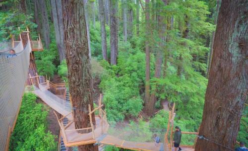 Crescent City Casa | Pacific Seaside House by Pebble Beach & Redwoods