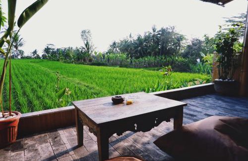 Payangan Complejo | Padi Bali Retreat