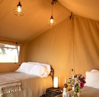 Currie Otro | Painted Prairie - Prairie Hause
