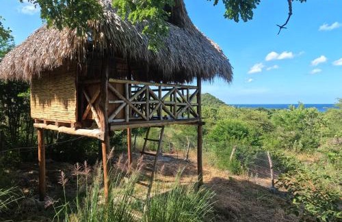 El Transito Otro | Palapa Host