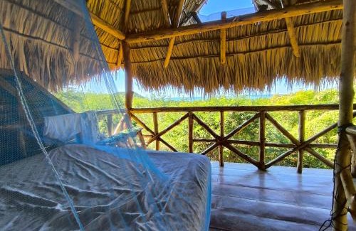 El Transito Otro | Palapa Host