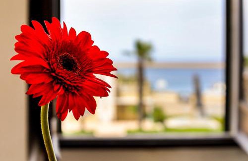 Gallipoli Apartamento | Palazzo Migliaccio Apartment by Casa di Marco AP23