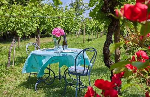 Erbusco Villa | VILLA EXCLUSIVA del '600 EN ERBUSCO - FRANCIACORTA a una hora de MILÁN