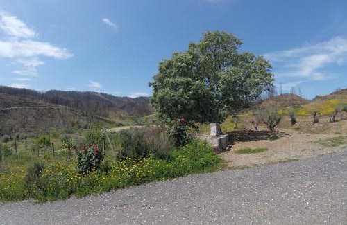 Pracana Cimeira Casa | Palheiros da Ribeira
