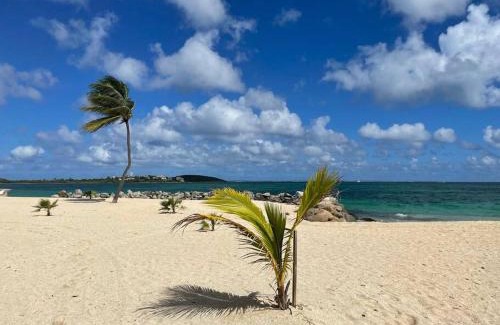 Nettle Bay Apartamento | Palm Beach Superbe Studio sur la plage Nettle Bay Beach Club