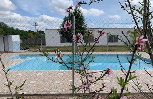 Sidi Hajjaj Oued Hassar Casa | Palm Grove Farm