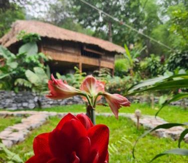 Ha Giang Casa | Palm Hill Chalet