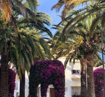 Benalmadena Apartamento | Palm House 10