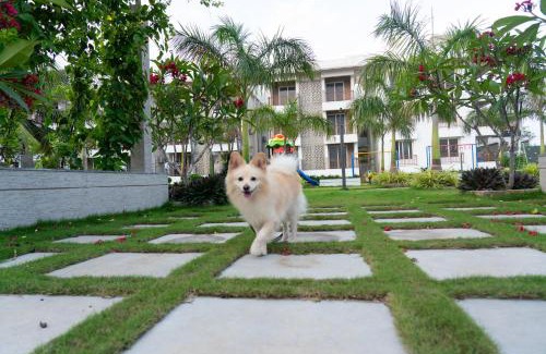 Gopalpur Casa | Palm Regal Resort