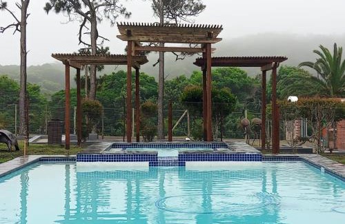 Kidd's Beach Otro | Palm Springs Holiday Beach Resort