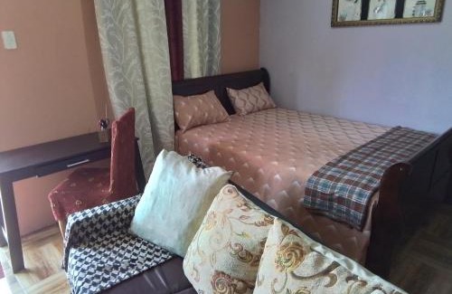 Jerningham Junction Apartamento | Palmarie