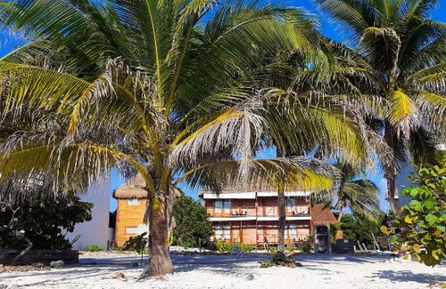 Mahahual Cabina | Palmeras de Mahahual Cabañas