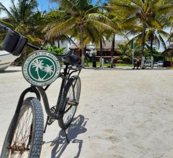 Mahahual Cabina | Palmeras de Mahahual Cabañas