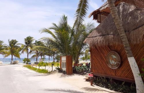 Mahahual Cabina | Palmeras de Mahahual Cabañas