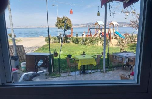 Adalar Casa | Palmiye Pansiyon