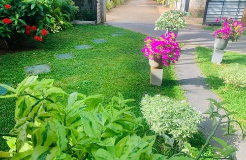 Kochchikade Casa | Palmwood Cottages with Private Kitchen Near Airport