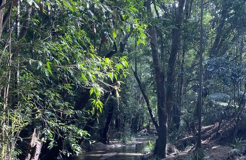 Mooloolah Valley Casa | Palomino Cottage by the Mooloolah River - Gubbi Gubbi Country