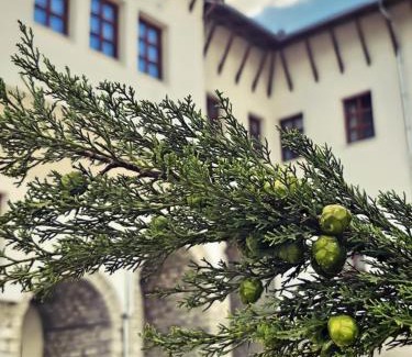 Gjirokaster Hotel | Palorto Inn