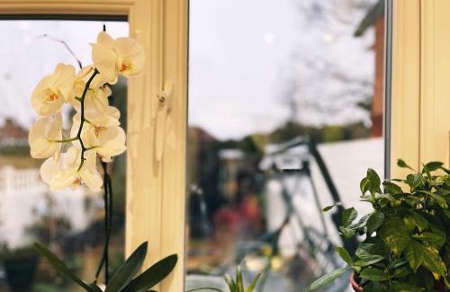 London Borough of Ealing Casa | Pamela's Place