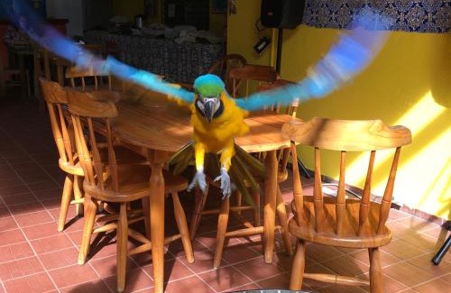 Bella Vista Cama Y Desayuno | Panama House Bed & Breakfast