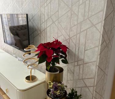 Cacak Apartamento | PANDORA APARTMAN CACAK